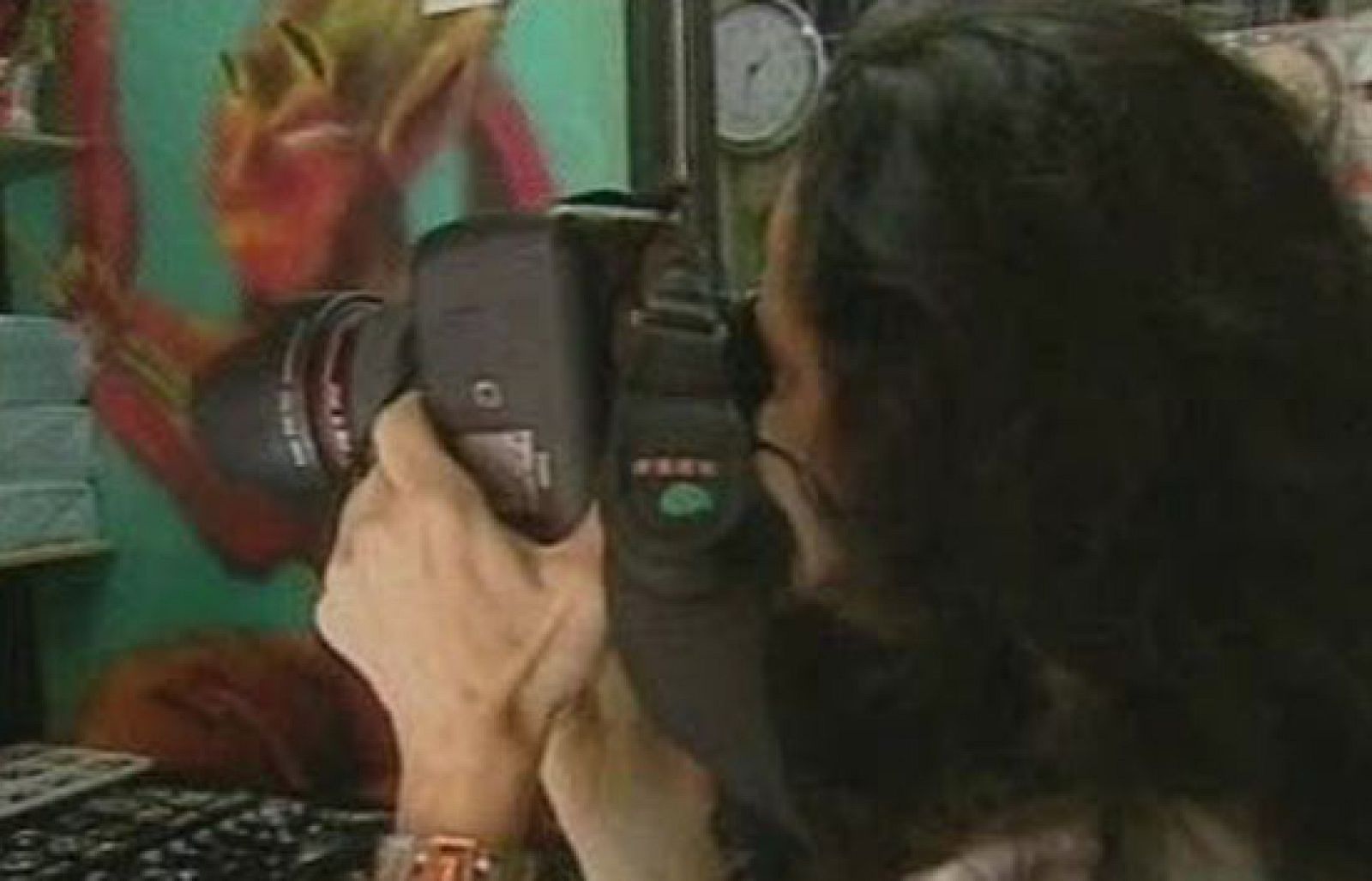 De Sur a Norte - Las maras - De sur a norte | Ver