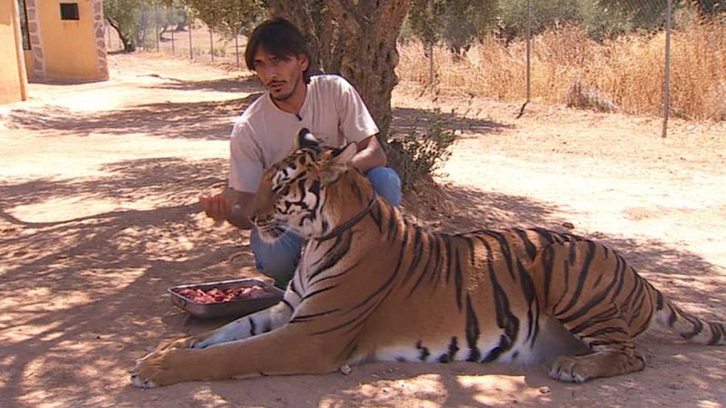El secreto del entrenamiento de animales para cine pasa por no someterlos a tratos degradantes o a situaciones de estrés
