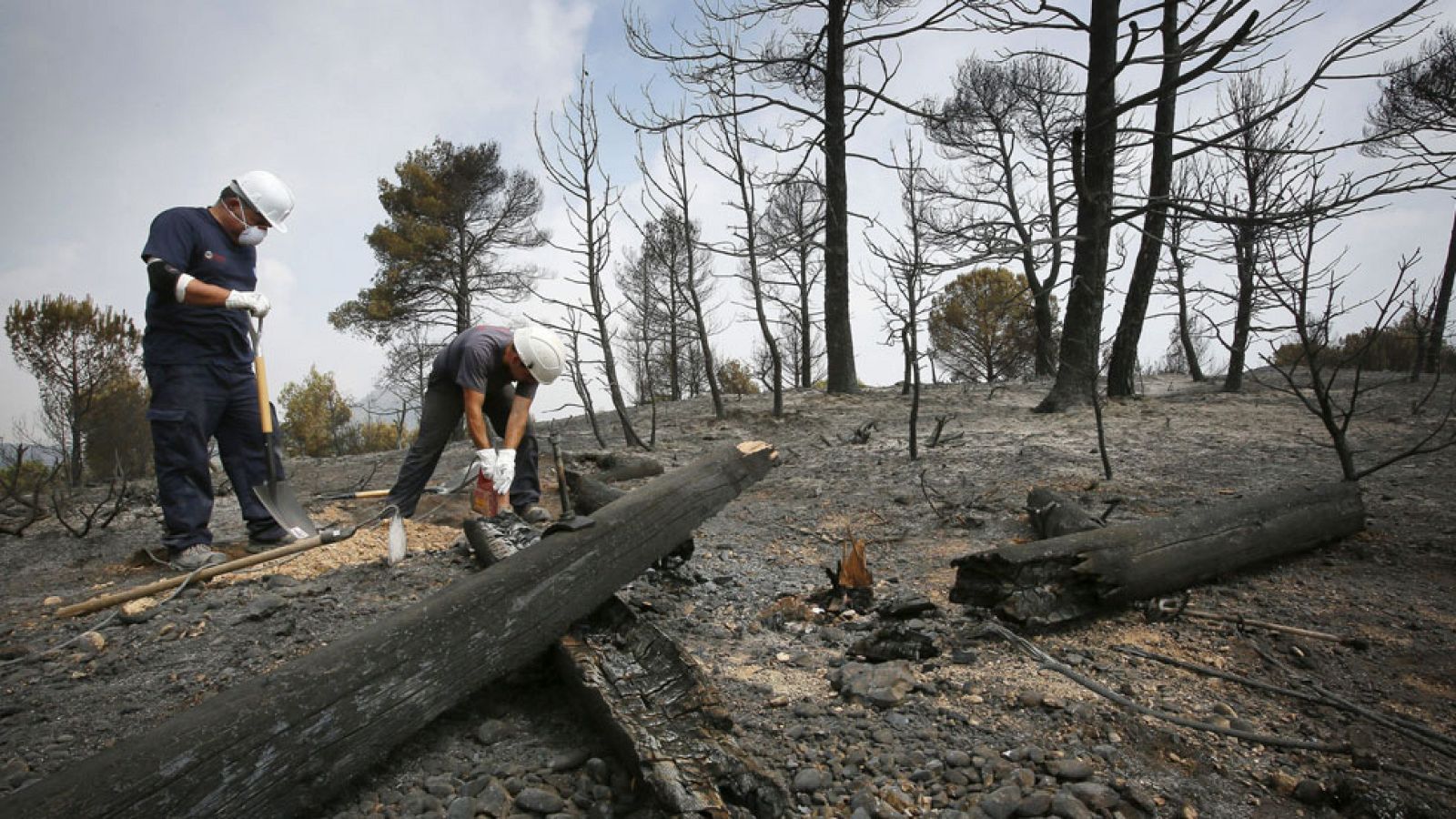 El incendio de Òdena está casi estabilizado y ya no avanza - Informativo 24h | Ver