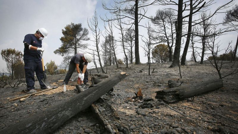 El incendio de Òdena está casi estabilizado y ya no avanza - Informativo 24h | Ver