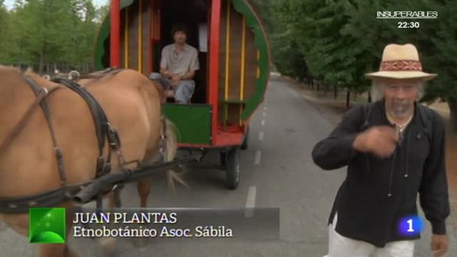 ¡Subíos con Juan Plantas a la diligencia!