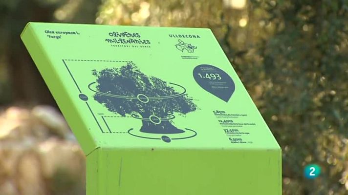 Agrosfera - Ulldecona