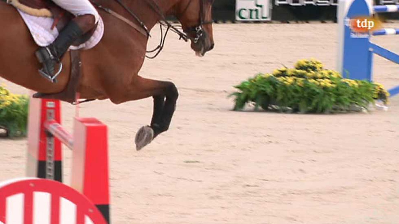 Hípica - Concurso de saltos CSI A Coruña. Gran Premio Caixabank - ver ahora