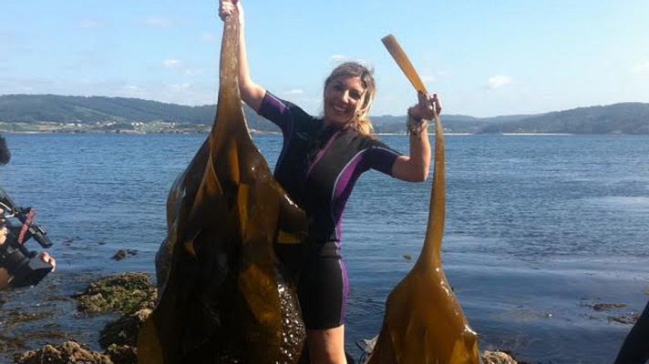 Aquí la Tierra - Descubriendo las verduras del mar ¡las algas!