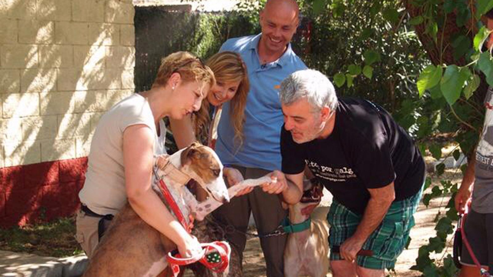 Aquí la Tierra contra el abandono de galgos