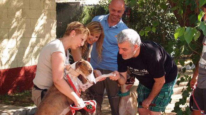 Aquí la Tierra - Aquí la Tierra contra el abandono de galgos