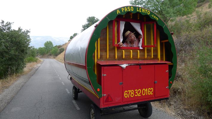Aquí la Tierra - ¡Atentos a los útiles consejos de Juan Plantas!