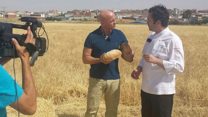 Aquí la Tierra - ¡Del pan no se tira ni la miga!