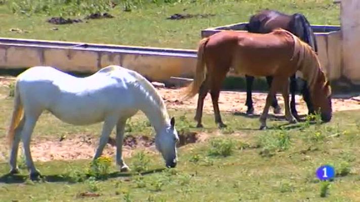 Noticias Aragón - LA FRESQUERA DEL VERANO .HOY, MUEL