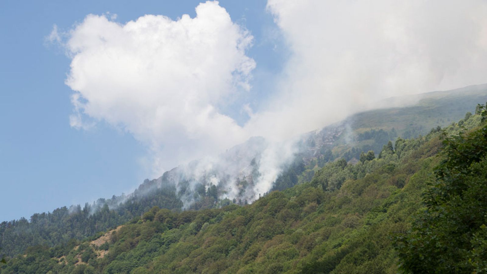La Mañana -  Incendio en la Sierra de Gata ( Cáceres)