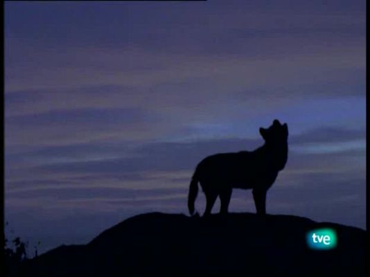 Otros documentales - Un año en los parques nacionales