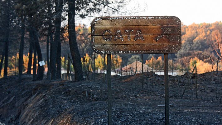 Telediario 1 - Controlado el incendio de la Sierra de Gata tras haber quemado cerca de 7.000 hectáreas