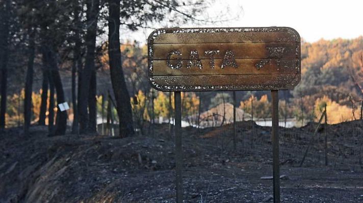 Telediario 1 - Telediario - 15 horas - 09/08/15