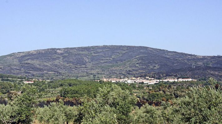 Telediario 1 - El 90% del término municipal de Hoyos ha quedado arrasado por el fuego