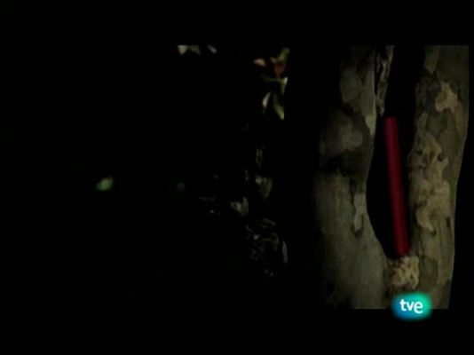 Página Dos - Página 2 - 26/10/08