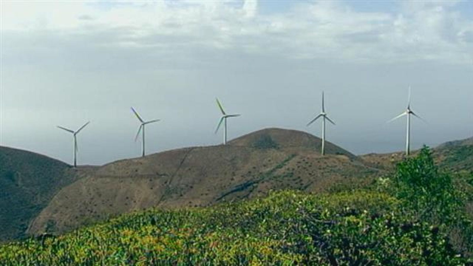 El tiempo en  Canarias - 10/08/2015