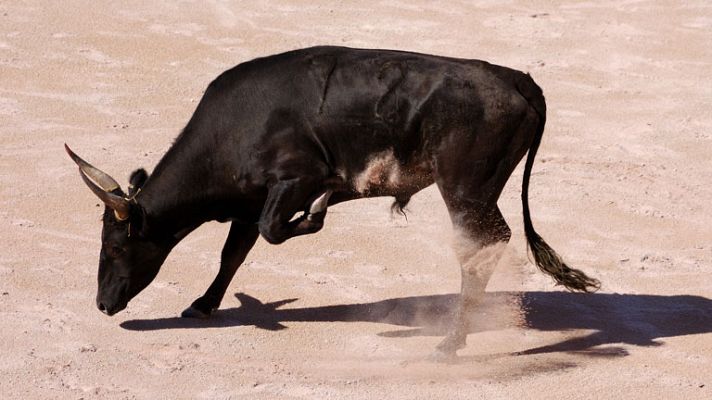 España Directo - ¿Hay seguridad en los encierros?