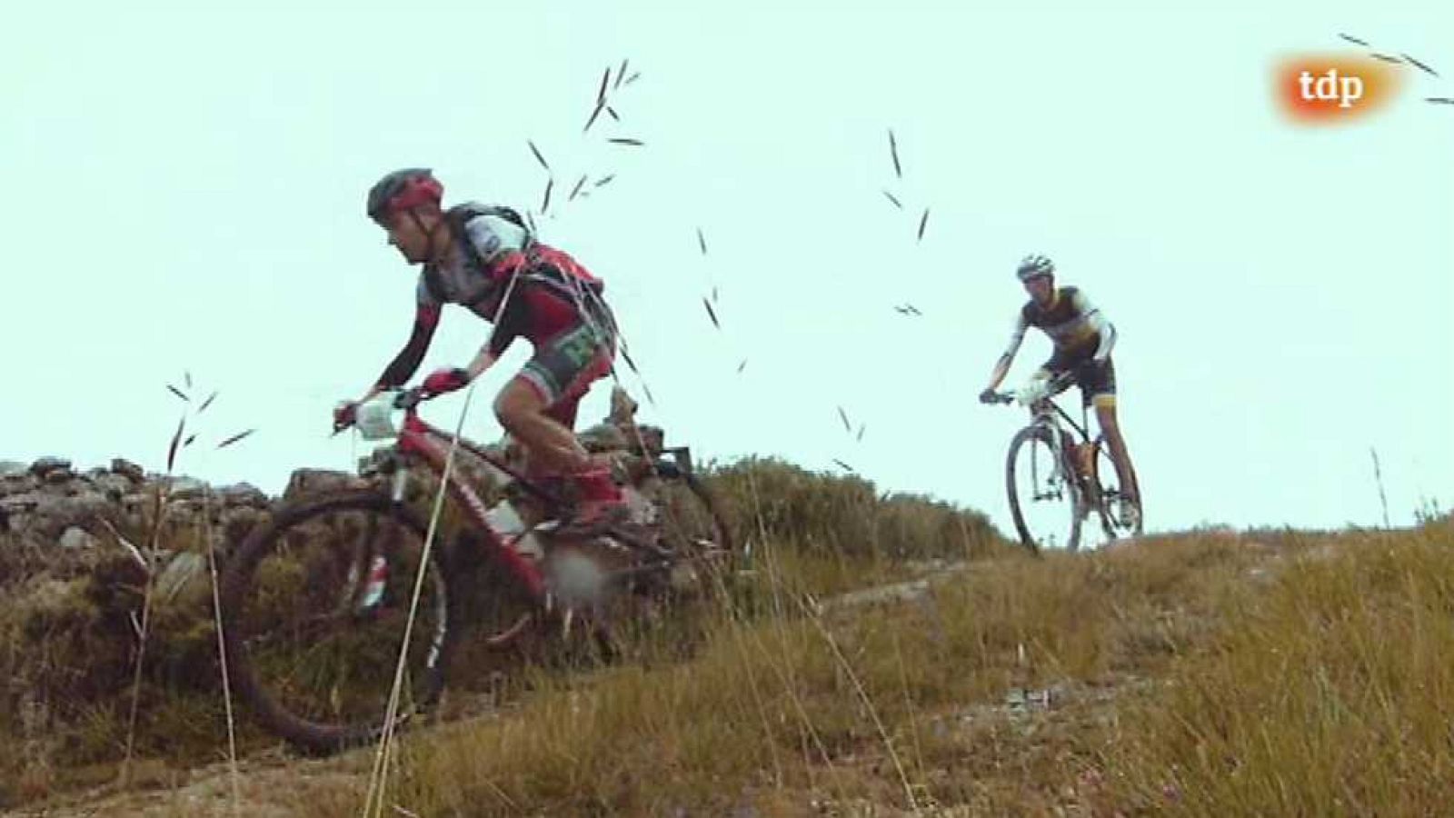 Evasión - T3 - Programa 15 - ver ahora