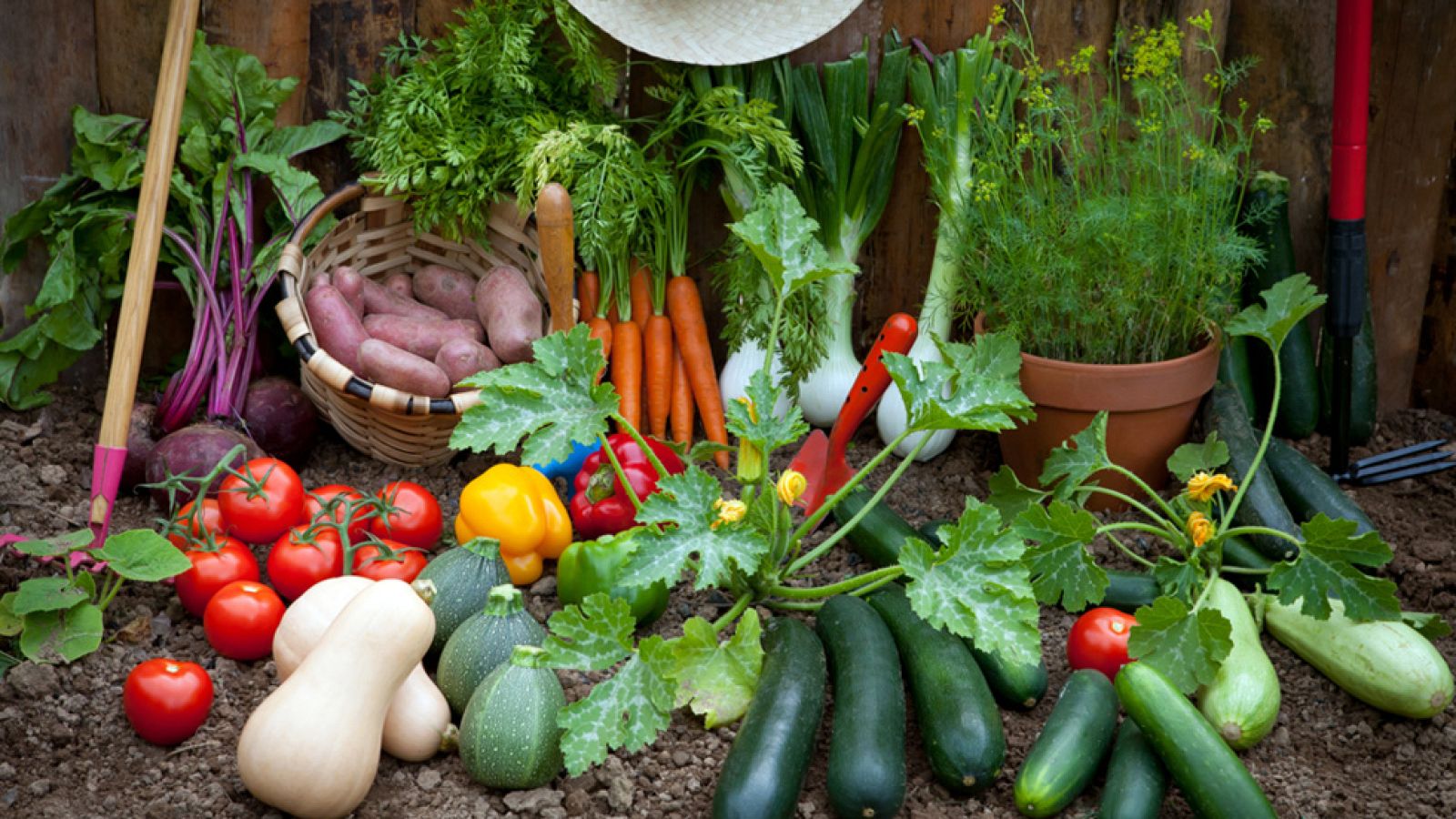 ¡Una familia muy eco!
