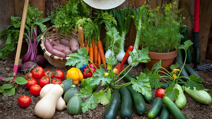 Aquí la Tierra - ¡Una familia muy eco!