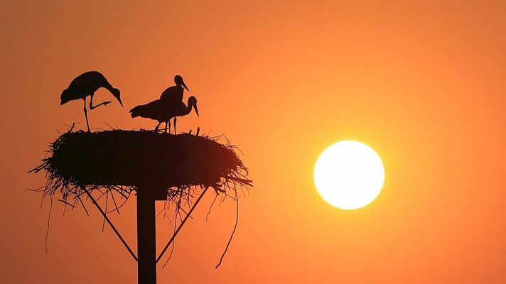 El tiempo - Ocho provincias estarán en alerta por olas y temperaturas máximas de hasta 38ºC