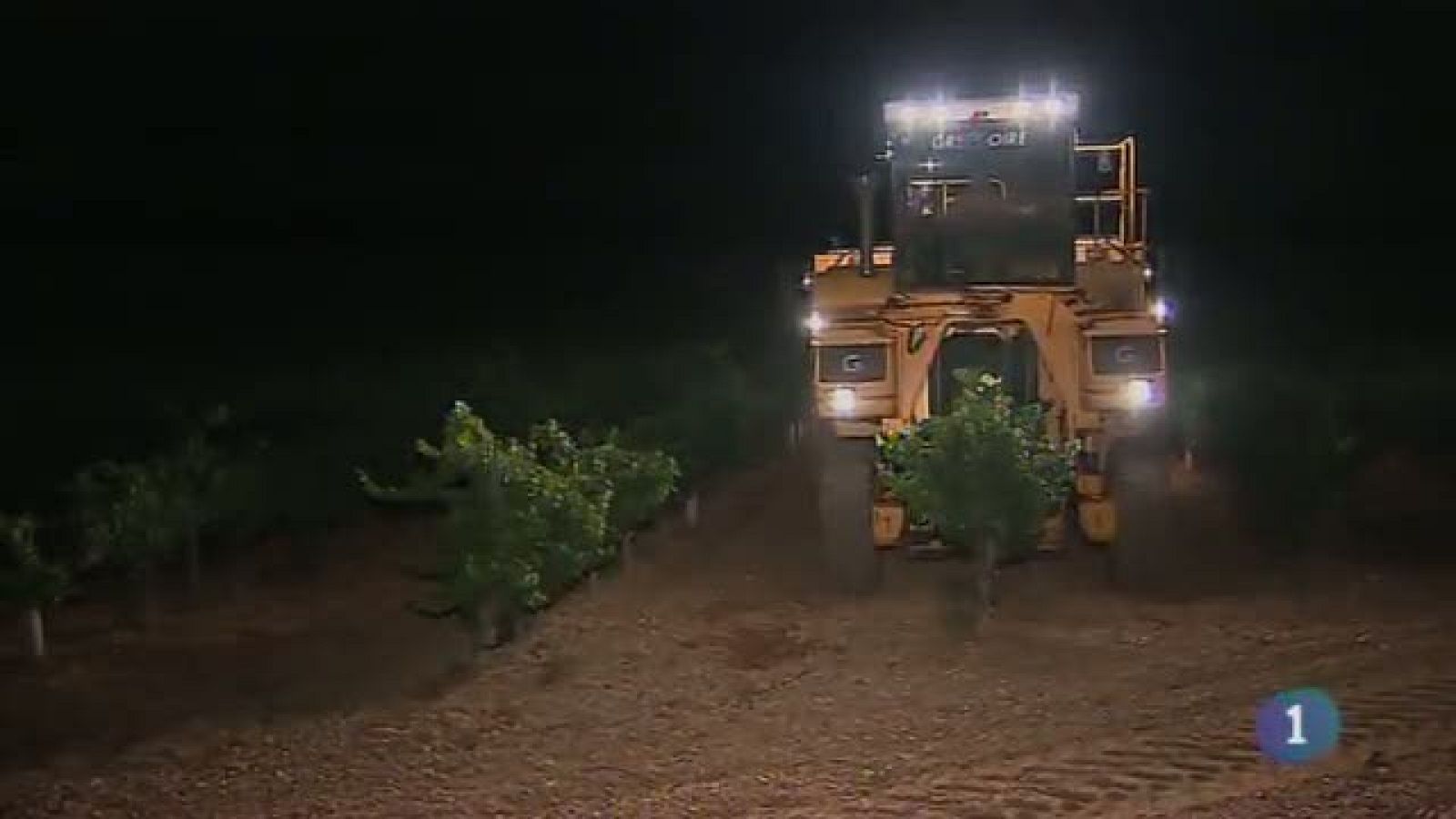 Noticias de Castilla-La Mancha - 12/08/15 | Ver