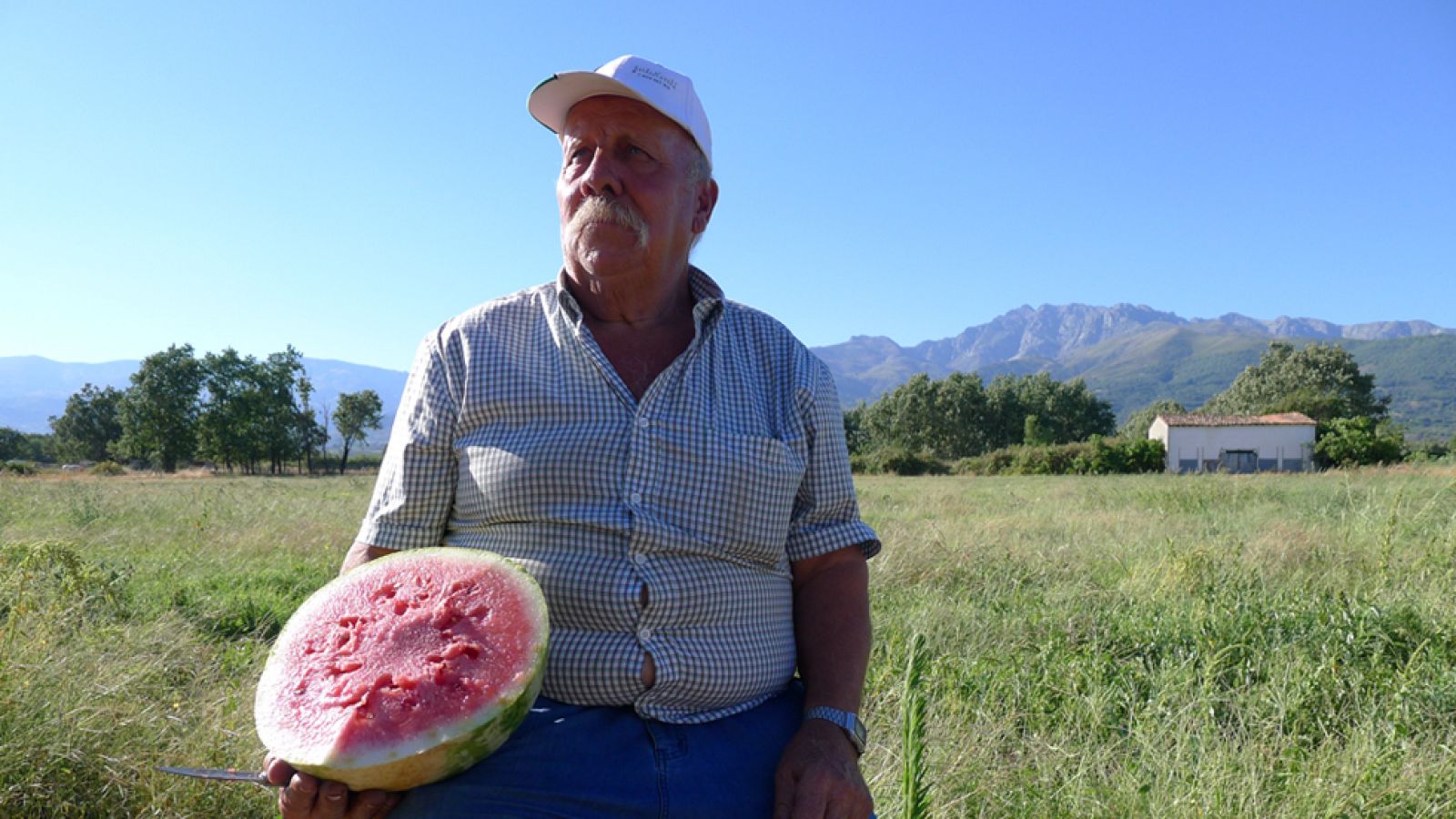 Los trucos para distinguir una buena sandía