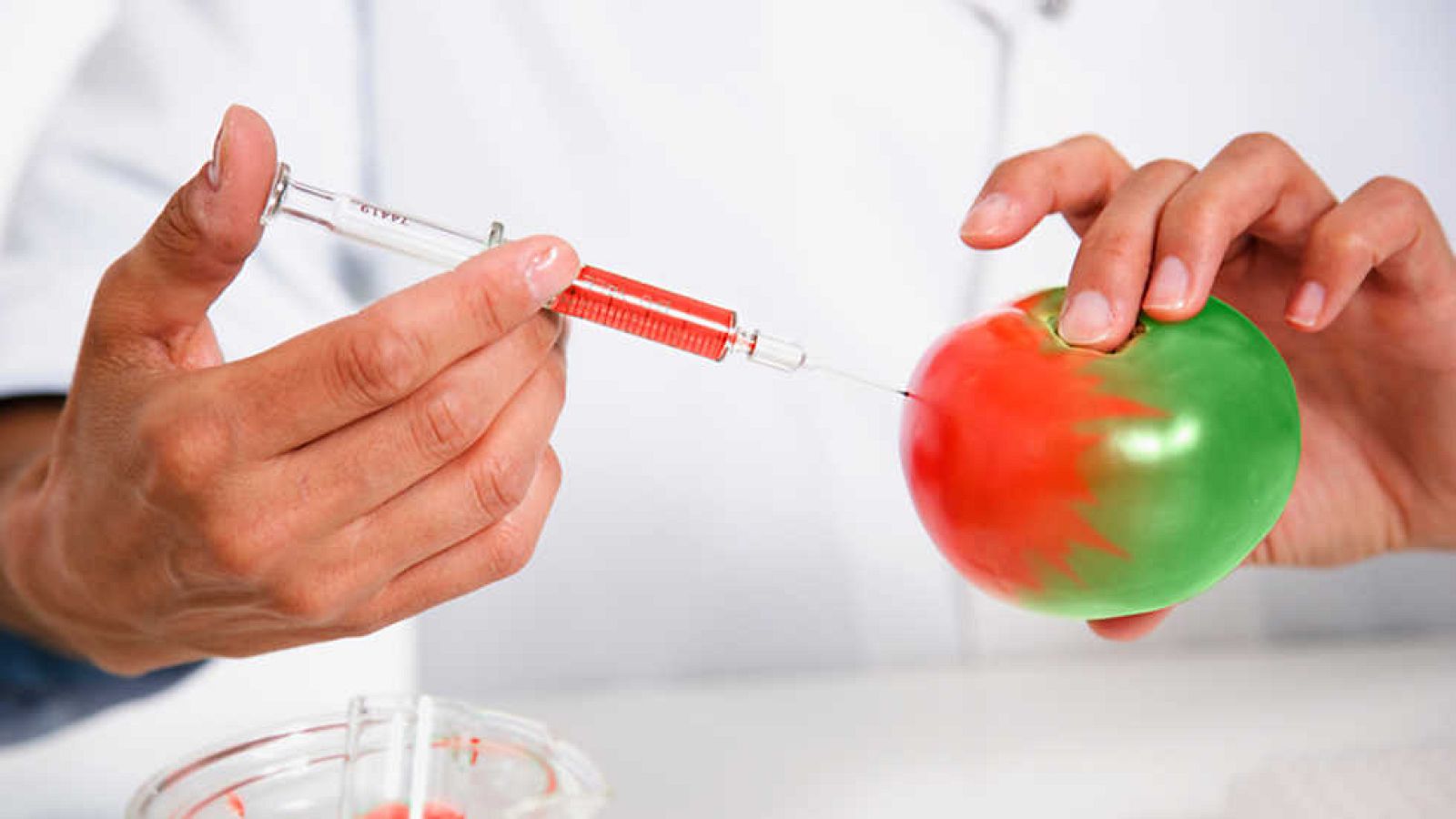 Documenta2 - Las cinco claves 3ª parte: Las semillas - ver ahora