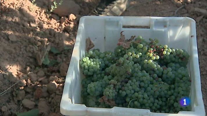 L'informatiu - Comunitat Valenciana - La Comunidad Valenciana en 2' - 13/08/15