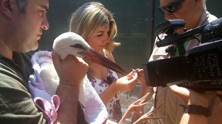 Aquí la Tierra - Mar, la mujer que amaba a las cigüeñas