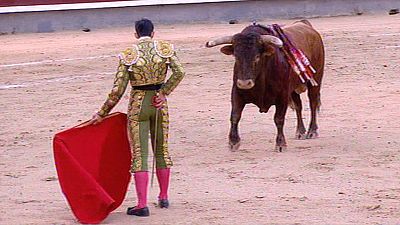 El torero Sa�l Jim�nez Fortes sufre una cornada en el cuello en la plaza de Vitigudino, en Salamanca