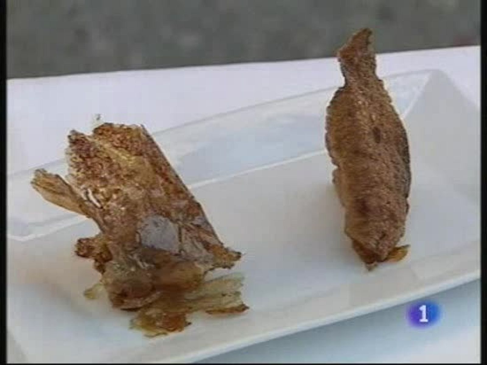 Primer congreso internacional de micología | Ver