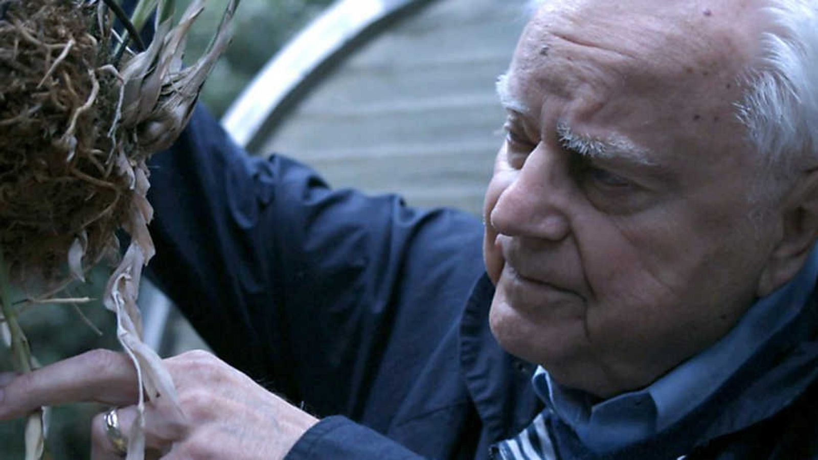 Documaster - El universo humano: ¿Estamos solos? - ver ahora