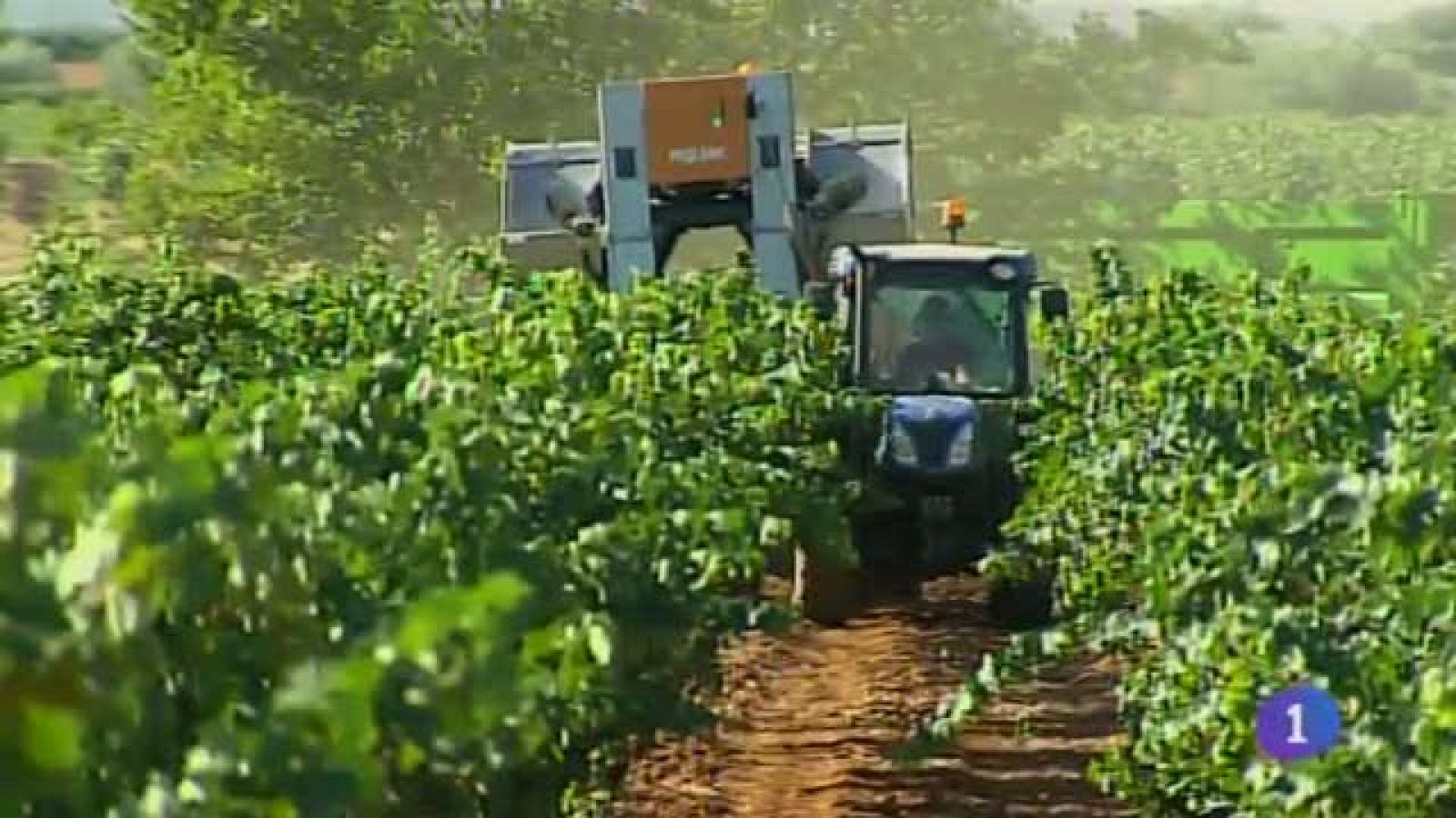 Noticias de Castilla-La Mancha 19/08/15 | Ver