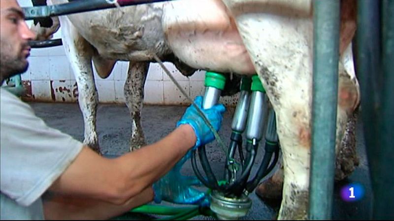 L'Informatiu 2  - 19/08/2015