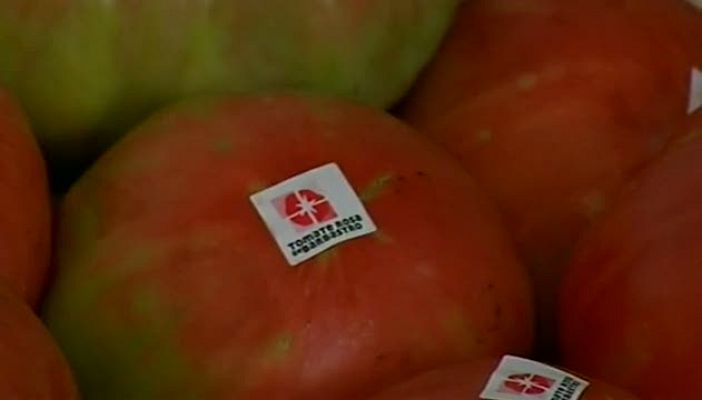 Noticias Aragón - Noticias Aragón - 19/08/15