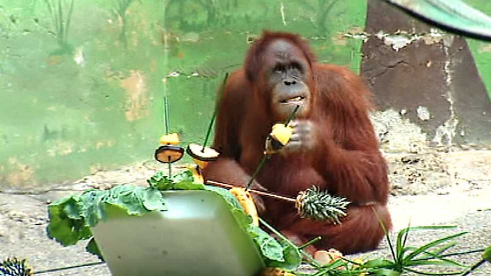 España en 24 horas - 19/08/15 - Ver ahora