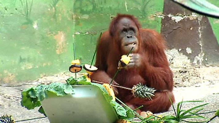 España en 24h - España en 24 horas - 19/08/15