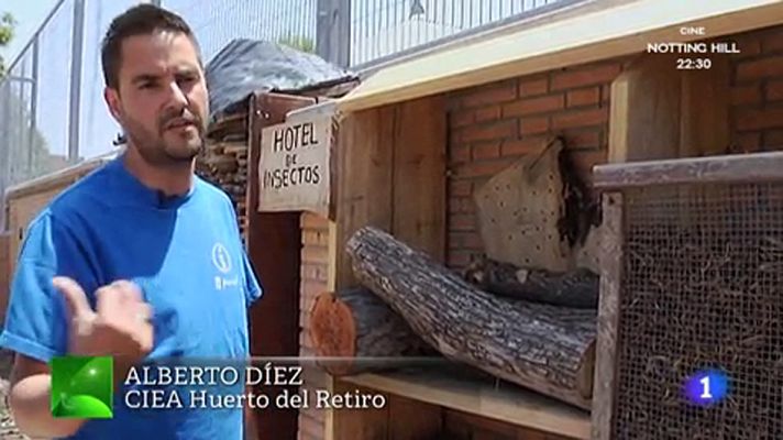 Aquí la Tierra - Un hotel de lujo sólo para bichos