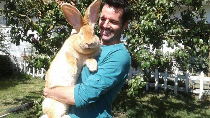 Aquí la Tierra - Conejos gigantes y ¡no son de peluche!