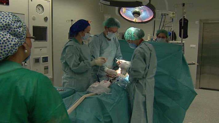 Telediario 1 - El 33% de los partos en España son por césarea