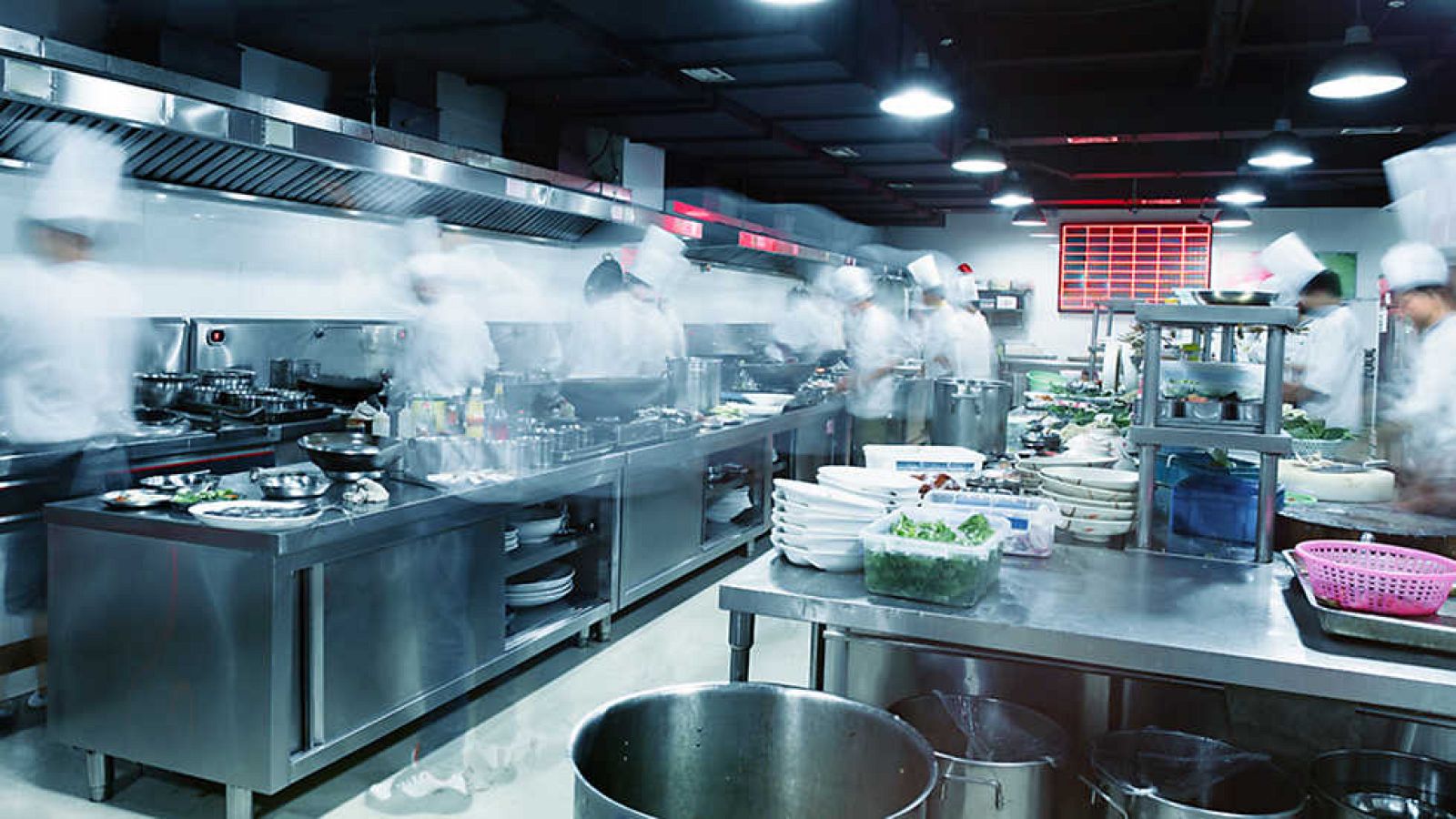 Comida a lo grande: SeaWorld Orlando - ver ahora