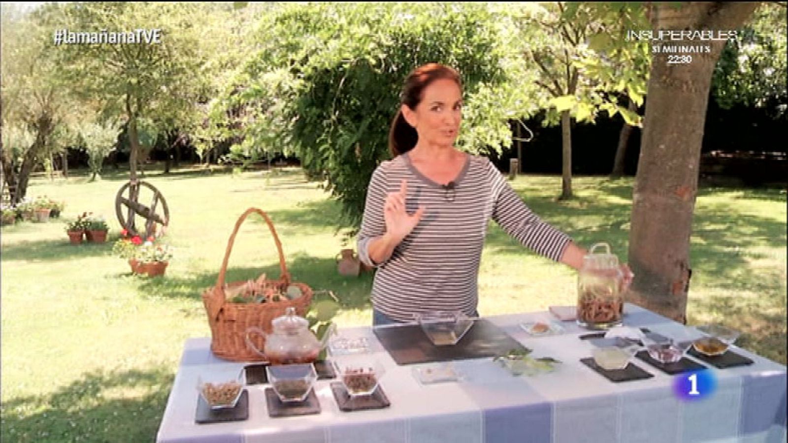 Los Consejos de Maxi - Tila para relajarse y aclarar las pecas