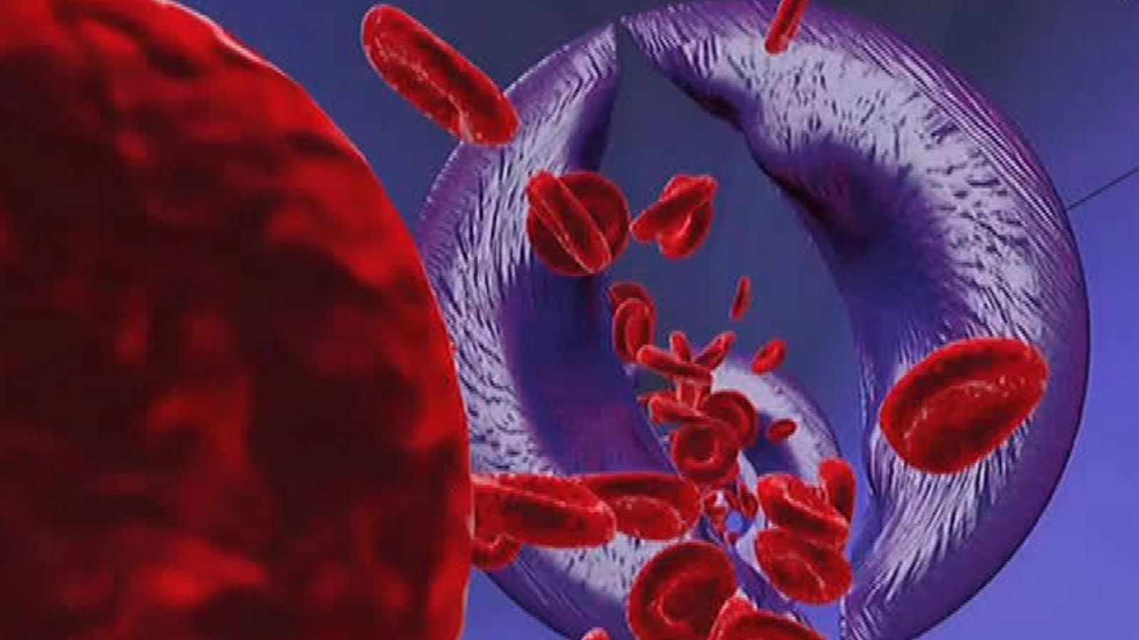 Saber Vivir - Problemas circulatorios