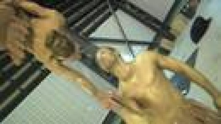 Insuperables - Entrevista a Acrodreams 