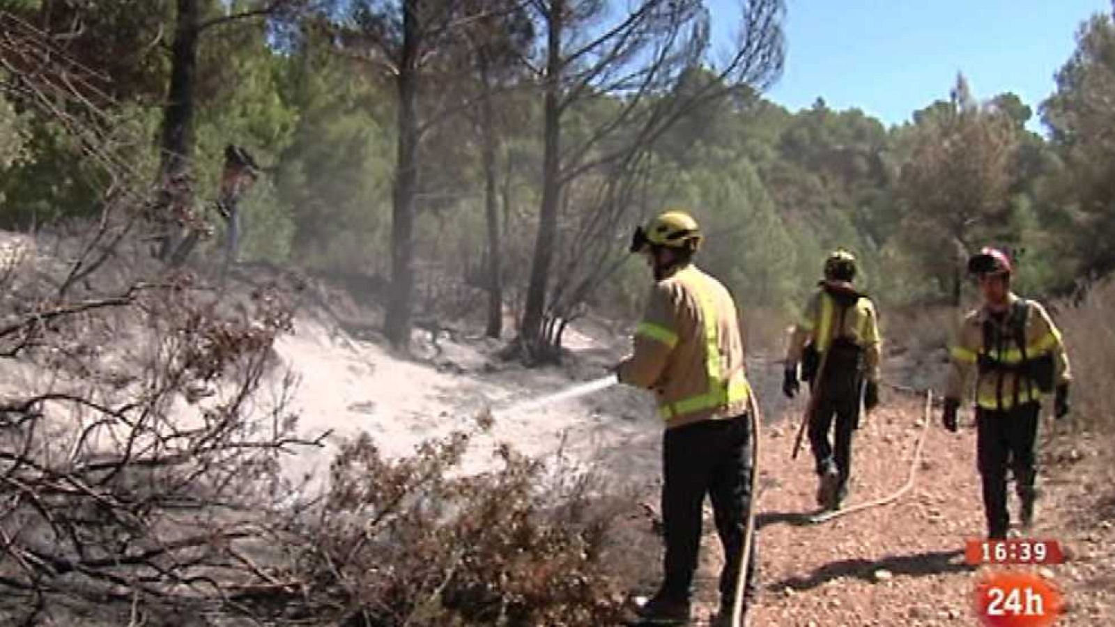 España en 24 horas - 24/08/15 - Ver ahora