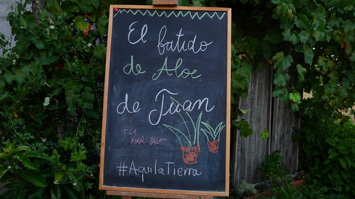 Aquí la Tierra - Al rico y sano batido de aloe vera