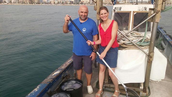 Aquí la Tierra - ¡A la caza de la medusa!