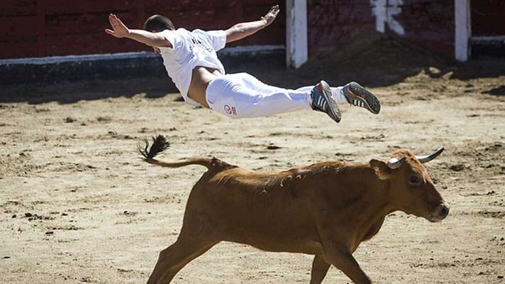 Informativo de Madrid - La Comunidad de Madrid en 4' - 25/08/15