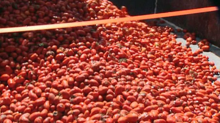 L'informatiu - Comunitat Valenciana - L'Informatiu - Comunitat Valenciana - 25/08/15